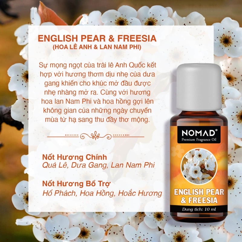 Tinh Dầu thơm Nomad xông thơm phòng, khử mùi, làm nến thơm - English Pear & Freesia