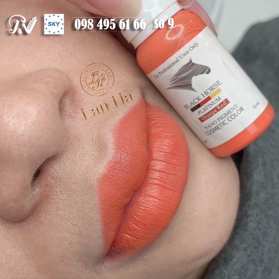 Mực Xăm Môi Mày Black Horse 12 ml Đức [Xả Kho]