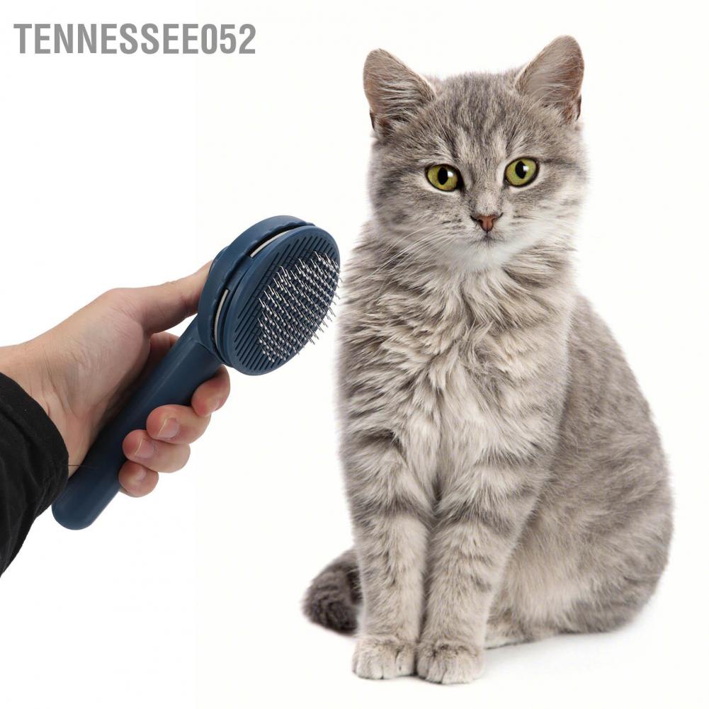 🌷Hàng Sẵn Lược chải lông chó mèo Chó có nút bấm Dụng Cụ Vệ Sinh Làm Đẹp Cho Thú Cưng