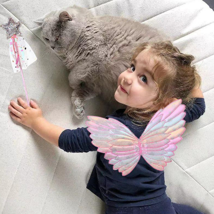 Cánh Bướm Nhiều Màu Trang Trí Tiệc Sinh Nhật Cho Bé
