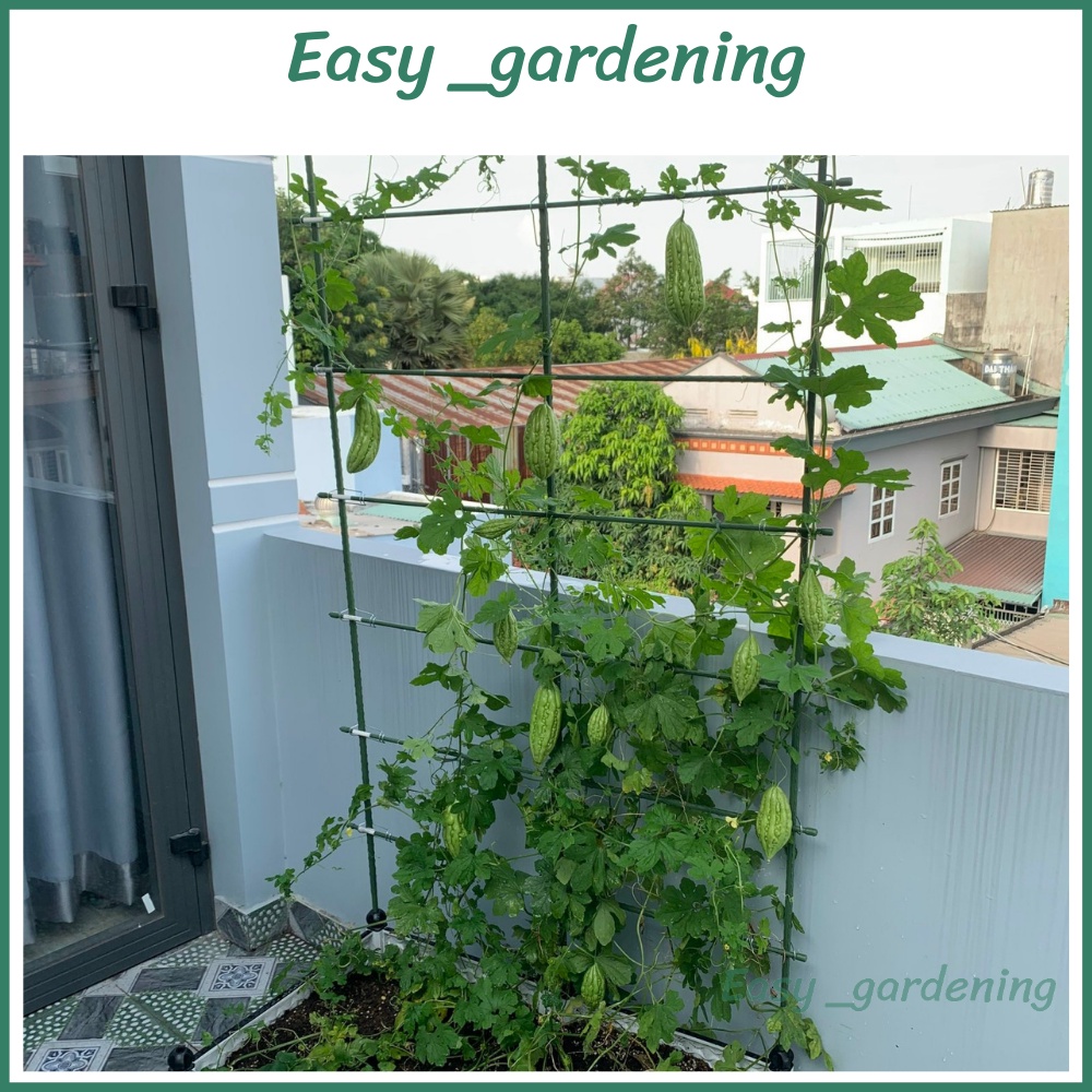ỐNG THÉP BỌC NHỰA  Dùng làm Khung Đỡ,Giá Đỡ Hoa Hồng Leo,Giàn Leo Bầu Bí Mướp,...