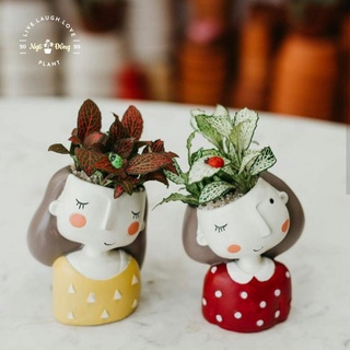 [Quà Sinh Nhật Cho Mẹ] Chậu Trồng Cây Ban Công Cây Cảnh Trong Nhà Cây Phong Thủy Hình Cô Gái, Trang Trí Decor Nhà Đẹp