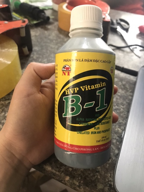 Vitamil B-1 HVP Bổ Sung Vi Lượng Cho Cây 100ml