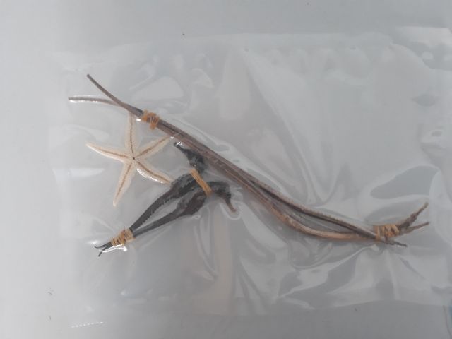 2 con cá ngựa 8cm + 2 con hải long + 2 con sao biển