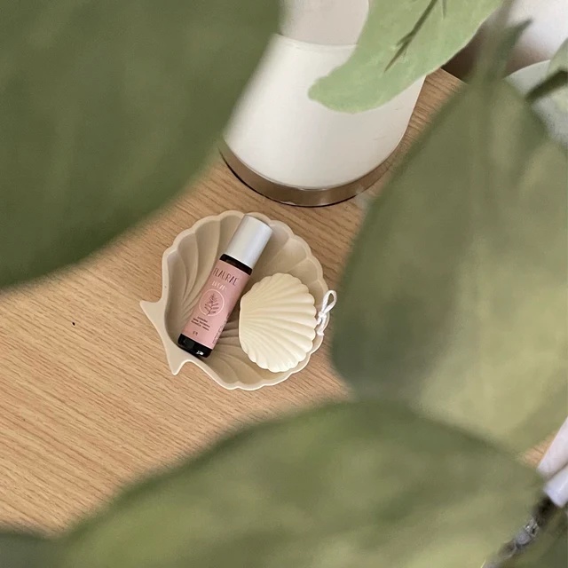 Đế Lót Ly MESMERIC Decor Khay Đựng Nến Thơm Vỏ Sò Trang Trí Quà Tặng