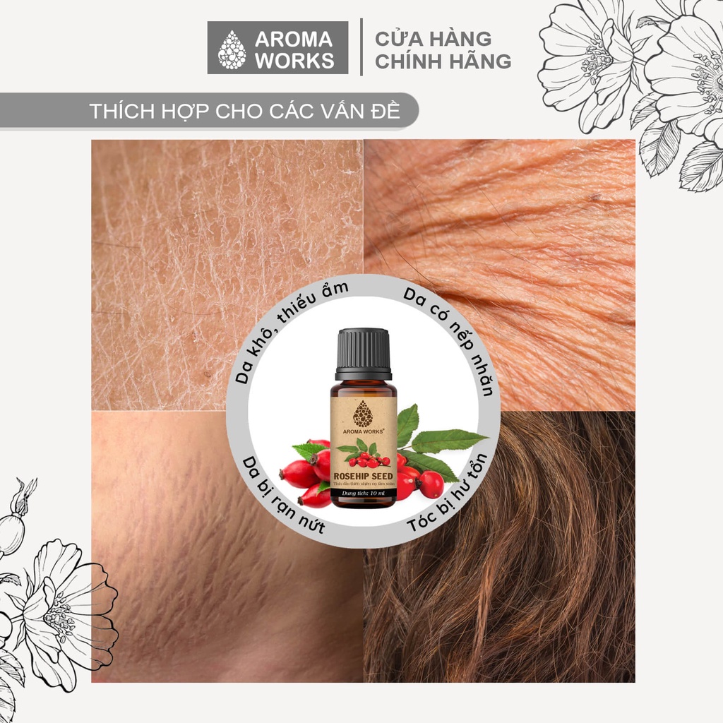 Dầu Nụ tầm xuân Aroma Works Organic Rosehip Seed Oil dưỡng da, cấp ẩm, làm mờ da rạn nứt