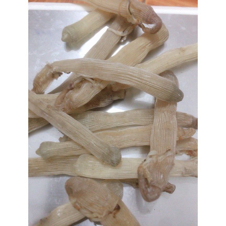 [ĐẶC SẢN] NƯỚC MẮM SÁ SÙNG CÔ TÔ QUẢNG NINH - 1 lít | BigBuy360 - bigbuy360.vn