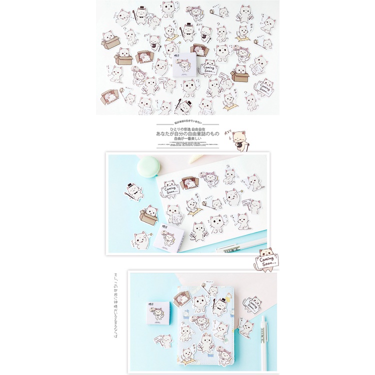 Set 45 Miếng Dán Trang Trí Album Hình Mèo Dễ Thương