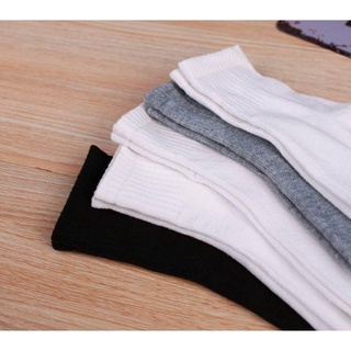 COMBO 2 ĐÔI TẤT THOÁNG KHÍ BASIC ĐỦ MÀU - GIN STORE
