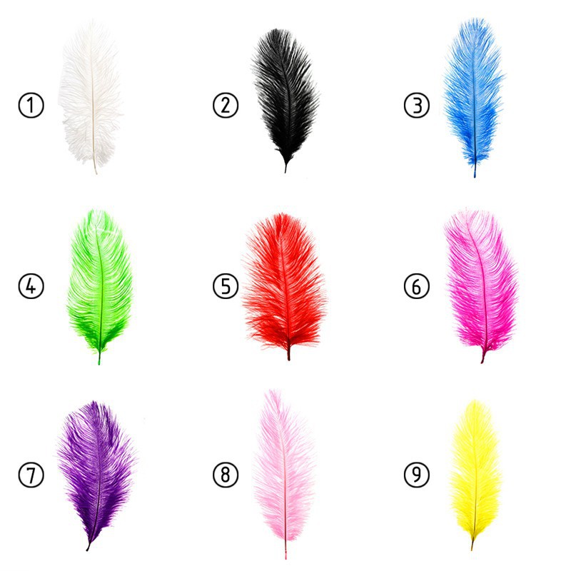 Bộ 10 lông đà điểu 10-12 inches nhiều màu sắc