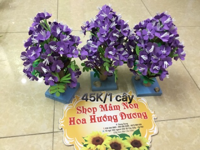 Cây xanh góc xây dựng