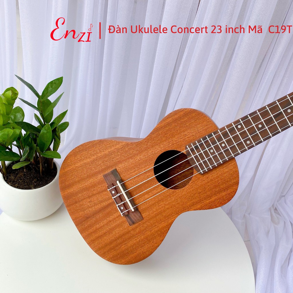 Đàn ukulele concert AS6D Enzi 23 inch gỗ mộc trơn khóa đúc giá rẻ cho bạn mới bắt đầu tập chơi