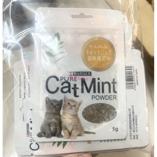 Cỏ Bạc Hà Mèo Catnip Hahale
