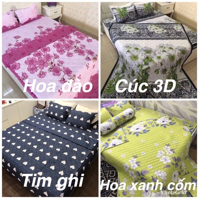 bộ chăn hè ga gối tặng kèm vỏ gối ôm(ib để chọn mẫu) | BigBuy360 - bigbuy360.vn