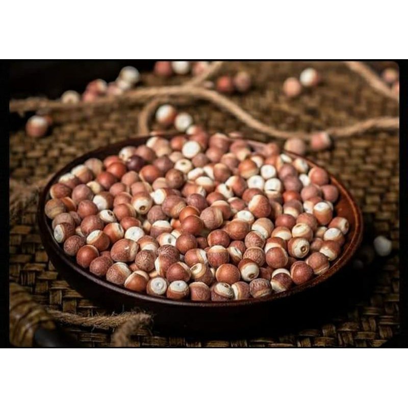 Quả Khiếm Thực ( bổ trung ích thận , kiện tỳ ,trừ thấp)
