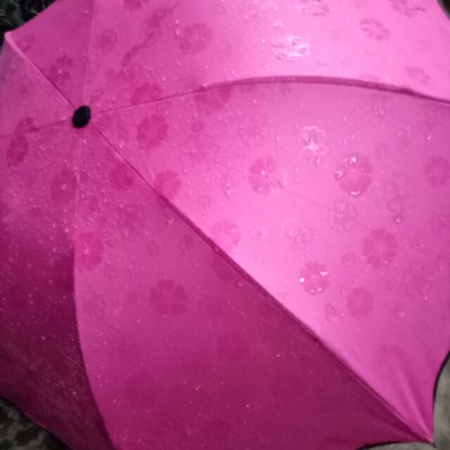 Ô GẶP NƯỚC NỞ HOA