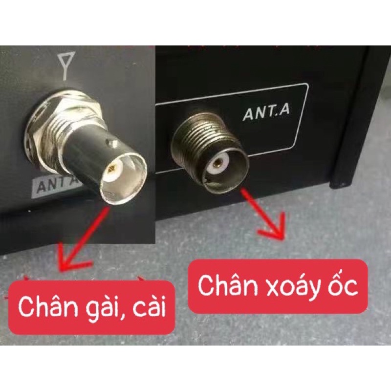 Chân jack Anten đầu thu loại gài cài và xoáy ốc