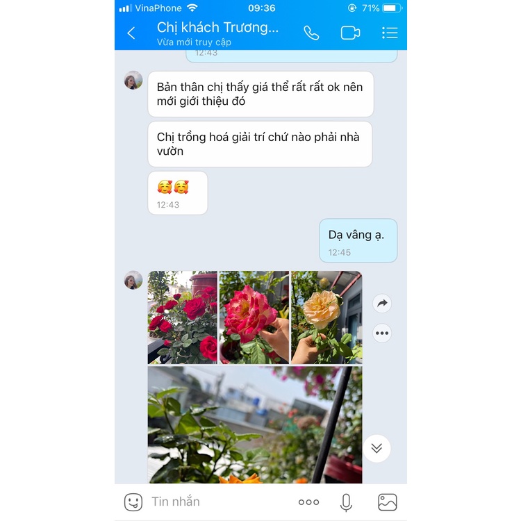 Đất trồng - Giá thể trồng cây cao cấp Greenzone - Thay thế hoàn toàn đất trồng thông thường