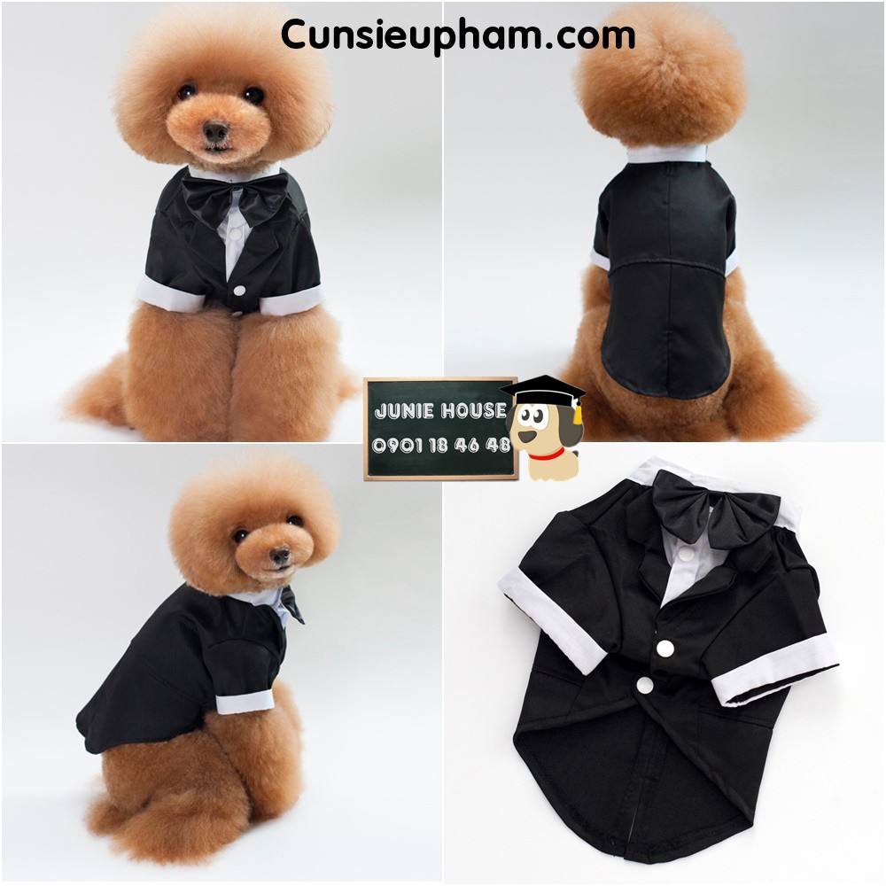 Áo Vest đen chú rể sang trọng cho chó mèo