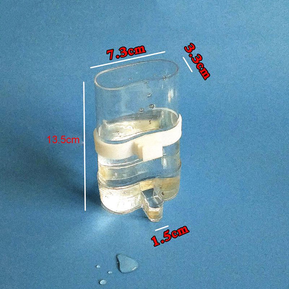 Bát Uống Nước Tự Động Cho Chim Vẹt