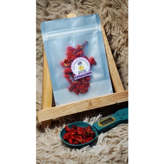 Kỷ tử dinh dưỡng dành cho Hamster