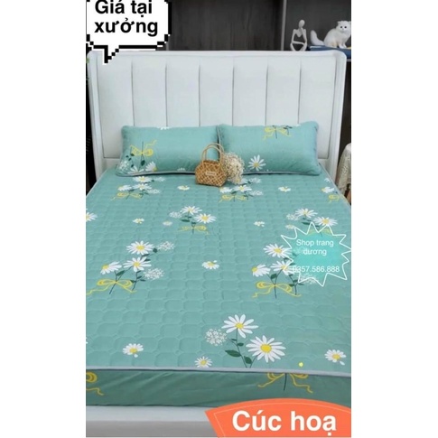 (Set 5 món) Bộ Chăn Ga Gối Trần Bông Đủ size(ga chun trần bông)