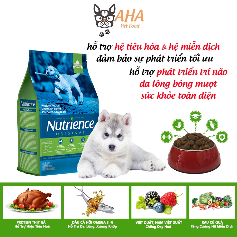 Thức Ăn Cho Chó Becgie Con Nutrience Original Bao 500g - Phát Triển Trí Não - Thịt Gà, Rau Củ Và Trái Cây Tự Nhiên