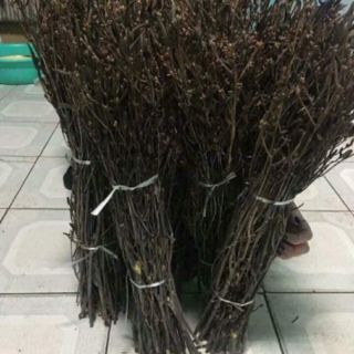 Hoa đỗ quyên combo 2 bó giá cực rẻ