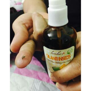 Tinh dầu đuổi muỗi - Tinh dầu chống côn trùng