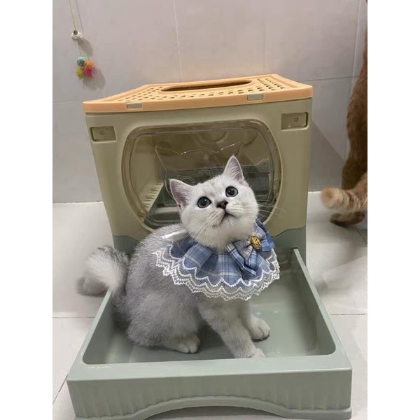 Nhà vệ sinh cho mèo  2 cửa chống văng cát size lớn BECHON