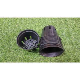 Combo 10 chậu đen trồng lan phi 14cm