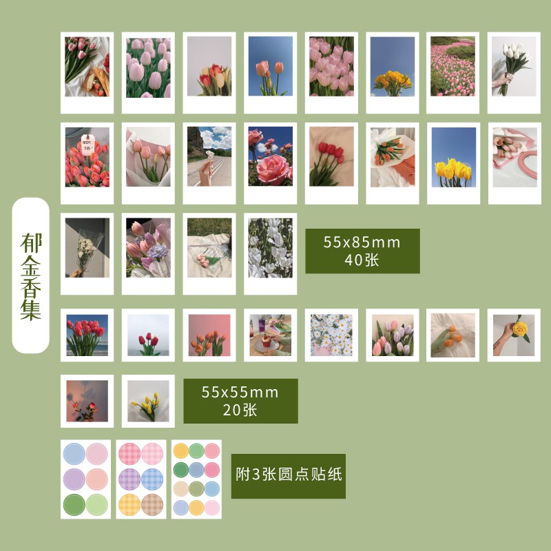 Set 60 thẻ giấy độc đáo dùng trang trí thủ công