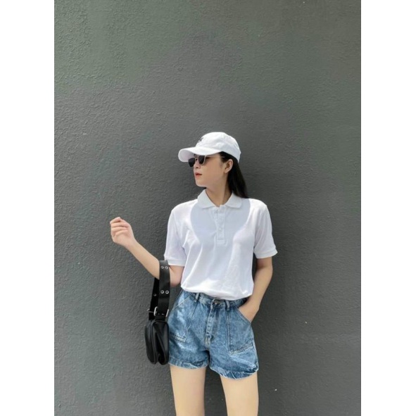Áo thun có cổ, tay bo, áo cá sấu, polo nữ
