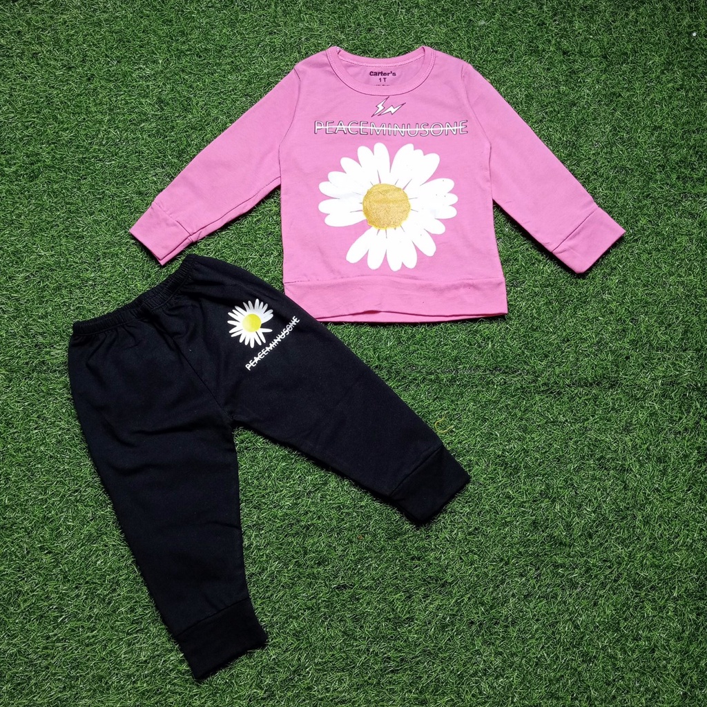 A87 - Bộ Dài Tay Hoa Cúc Chất Cotton Loại Đẹp Co Giãn 4 Chiều (Ảnh Tự Chụp)