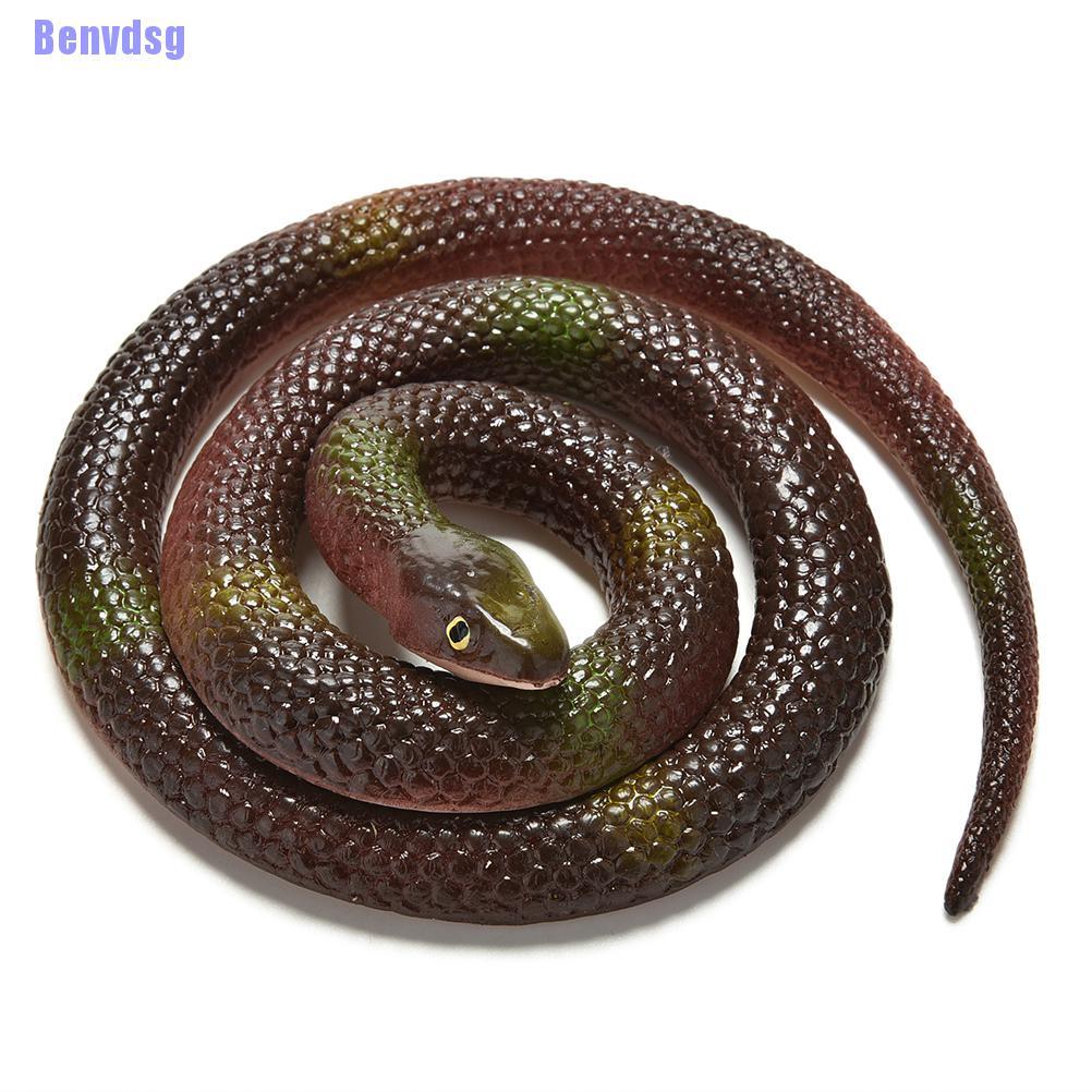 Giả Cao Su Vui Nhộn Độc Đáo