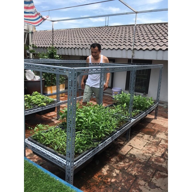 Kệ v lỗ trồng rau ,'rộng 67cm x dài 1.3m" x  nhiều tầng