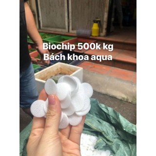 Hạt lọc Kaldnes