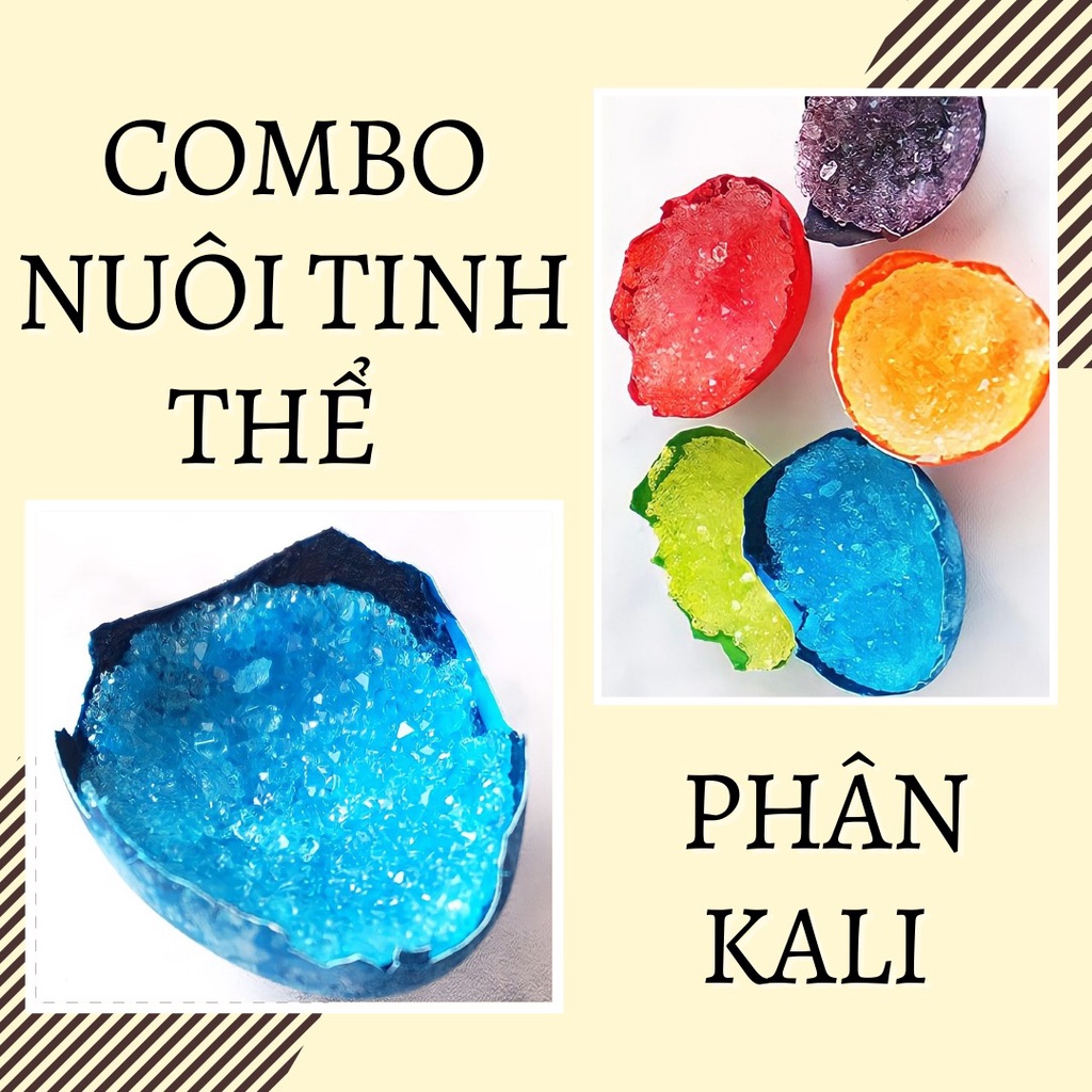 200g - Combo nuôi tinh thể Phân Kali l Tcrystalstore