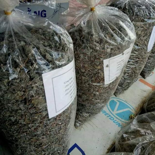 Bạch hoa xà thiệt thảo