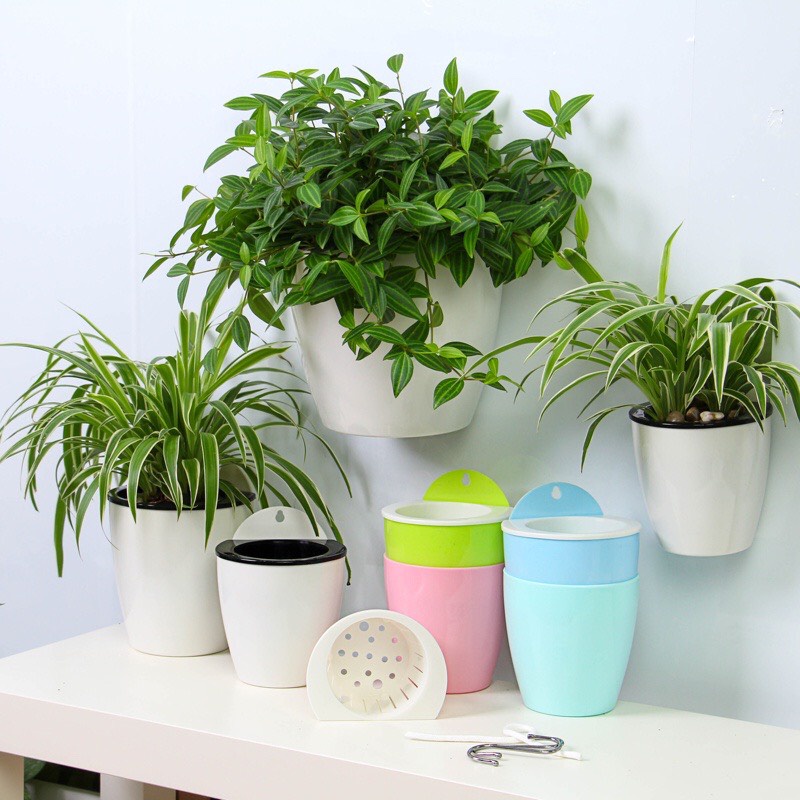 Chậu cây thông minh treo tường nhập khẩu Oliz K0. chậu cây tự tưới nước