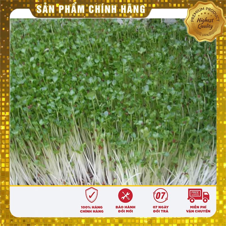 Hạt giống Rau mầm Cải Ngọt ( 50 gram)