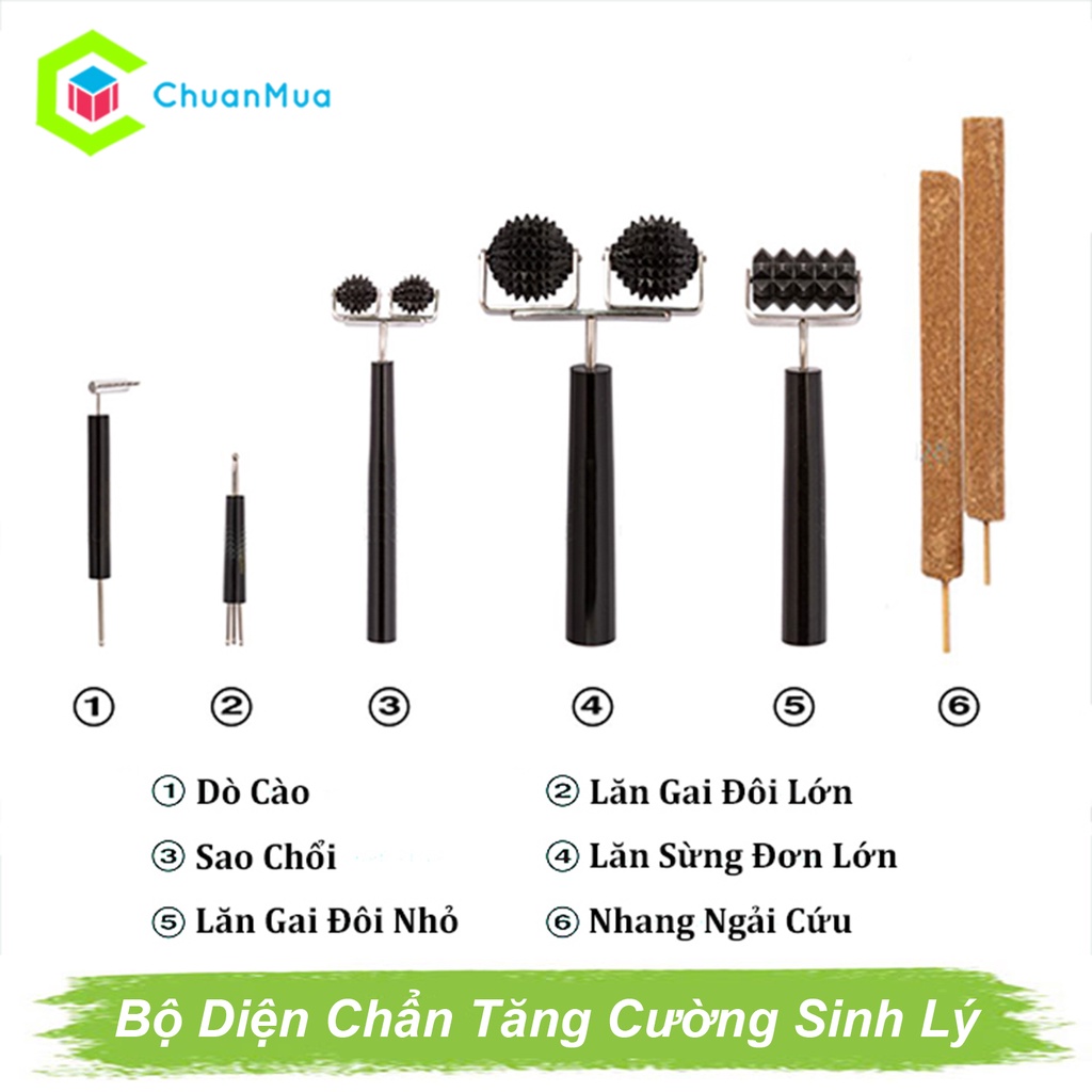 Bộ Dụng Cụ Diện Chẩn Số 4: Tăng Cường Sinh Lý (Lưu Thông Khí Huyết, Ôn Định Thần Kinh, Sức Đề Kháng, Tăng Dương Bổ Khí)