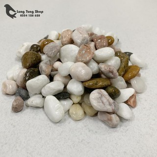 Đá sỏi hỗn hợp ( chọn size )