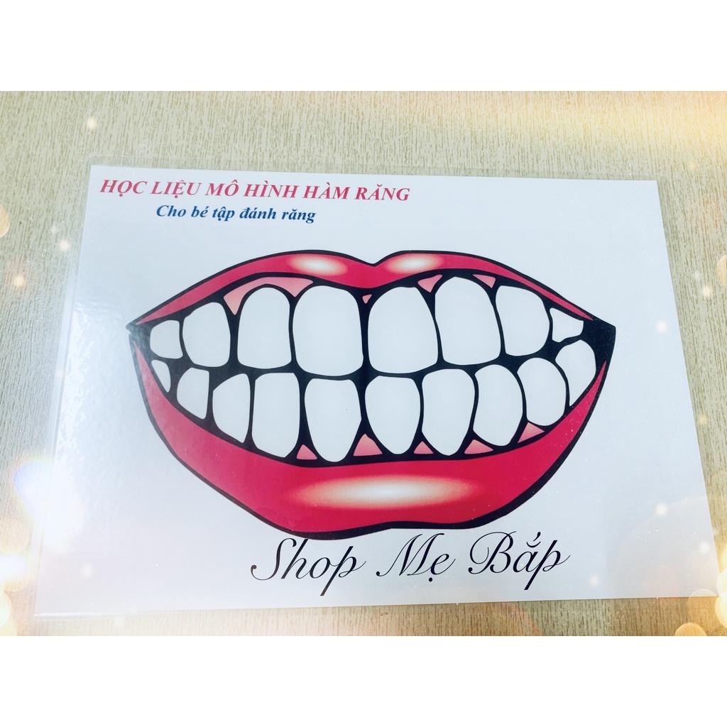 Học liệu mô hình hàm răng cho bé tập học đánh răng