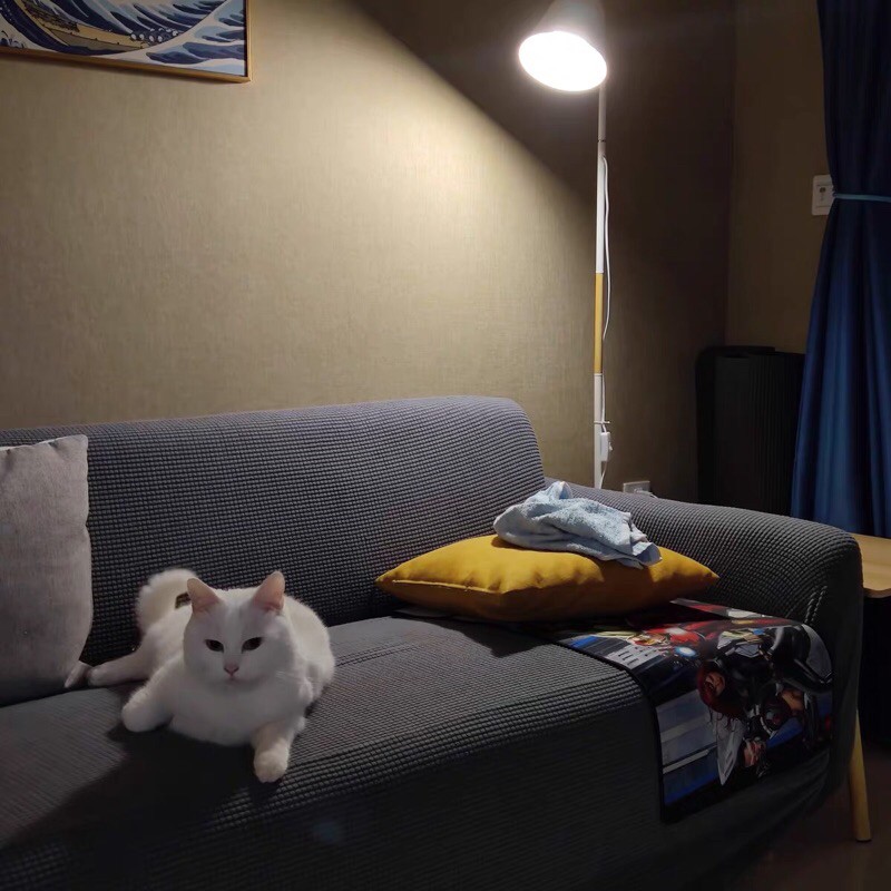 Đèn sàn Phòng khách ngủ IKEA - Lèm bóng Led vàng chống lóa cận