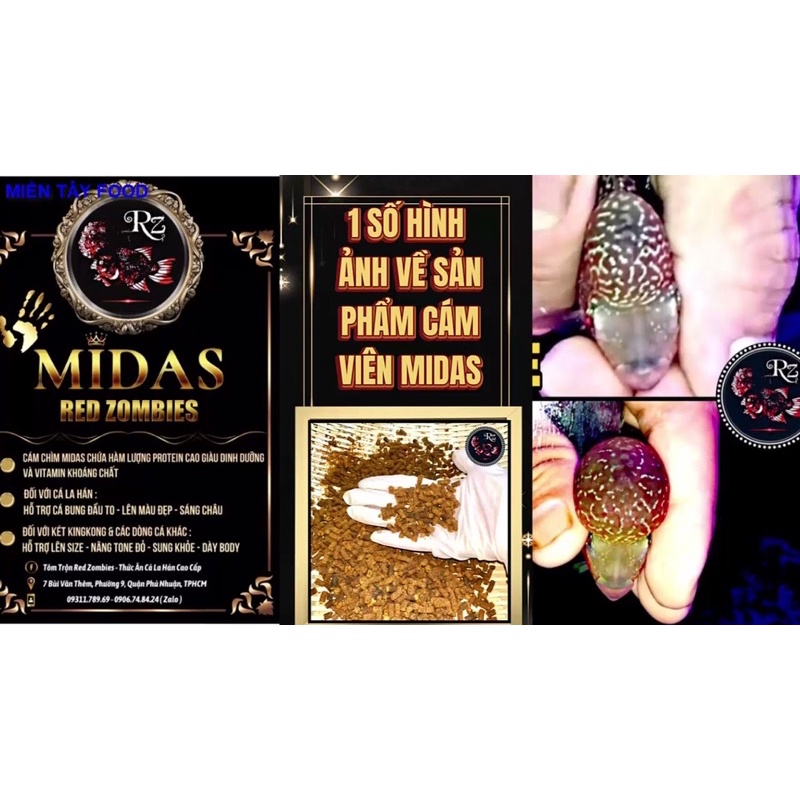 Cám Midas 150g - Tôm trộn viên - Thức ăn cho cá La Hán (loại chìm)