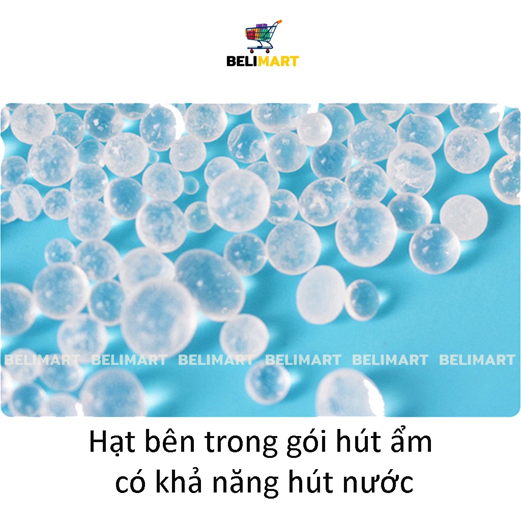 Gói hút ẩm tủ quần áo đóng túi 1kg, túi hút ẩm thực phẩm, máy ảnh, sách báo, giày dép loại 2/5/10g Beli BL020