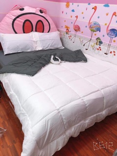 Bộ Drap & Chăn Phao Cotton Tici 5 Món Phối Màu