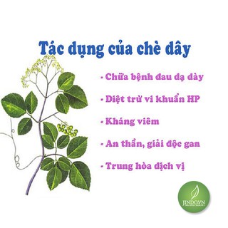 Chè dây Cao Bằng 1 KG - OLF001