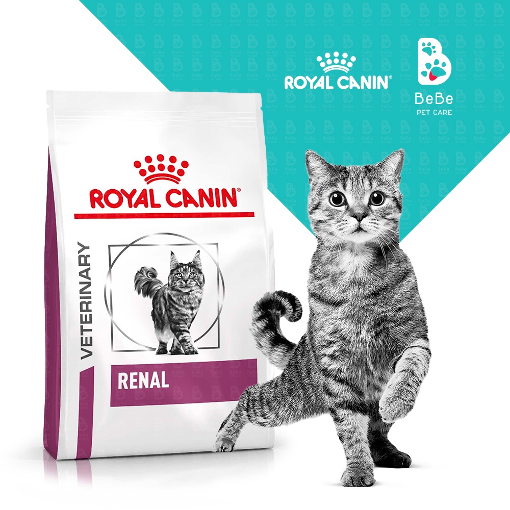 [2Kg] Hạt ROYAL CANIN Renal Hỗ Trợ Chức Năng Thận Cho Mèo